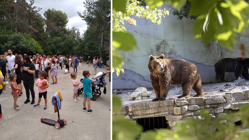 Зоопаркът в Стара Загора отвори врати след цялостното си обновяване