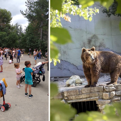 Зоопаркът в Стара Загора отвори врати след цялостното си обновяване
