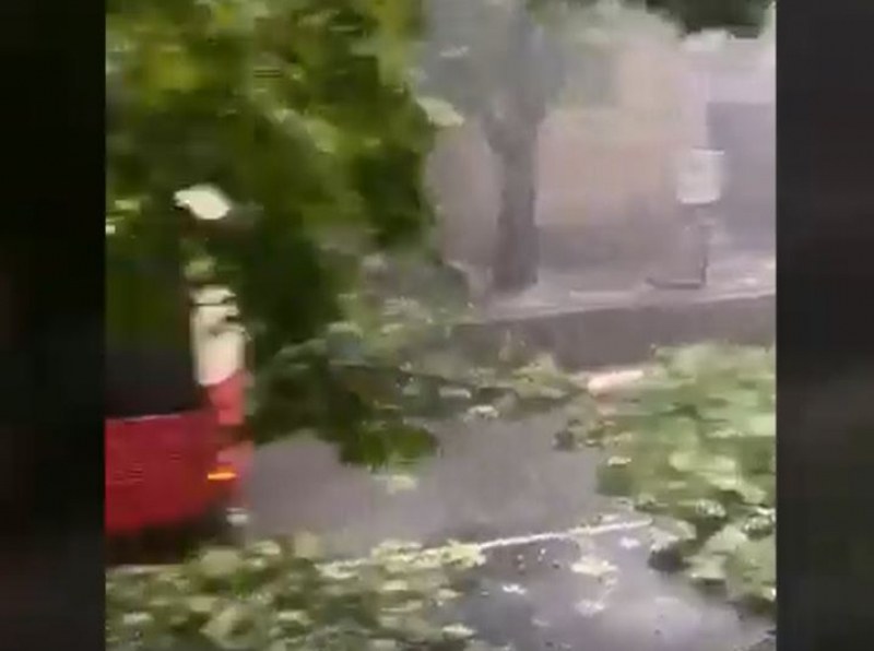 Силни бури удариха Сърбия
