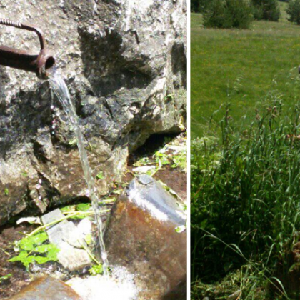 Доброволци отстраниха гъстата растителност край чешмата на Узана Христо Митев Пламен