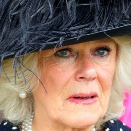 74 годишната съпруга на принц Чарлз Камила Паркър Боулс призна че не