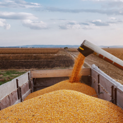 Украинските власти заявиха че голямо количество зърно е било унищожено