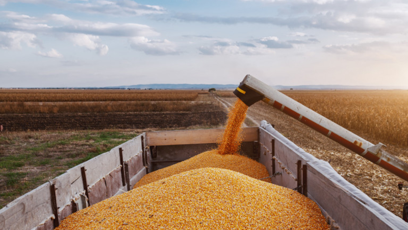 Украинските власти заявиха, че голямо количество зърно е било унищожено