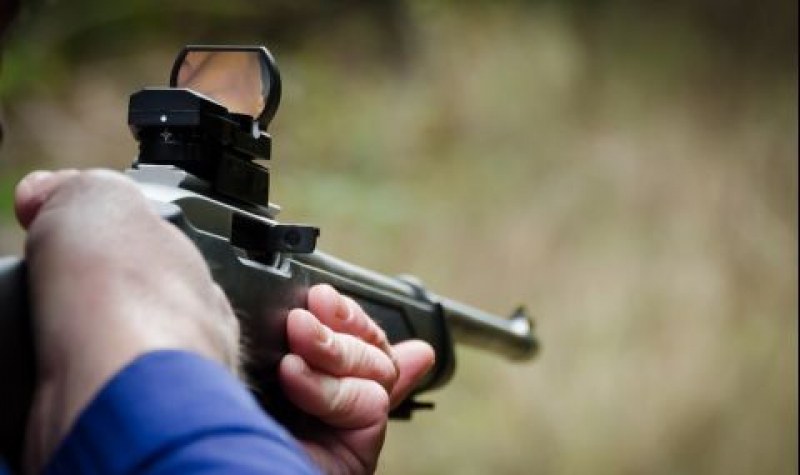 Мъж застреля домашно куче в столицата