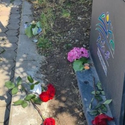 Майката на загиналата Хариет: Трябваше да пресече и да отиде на спирката