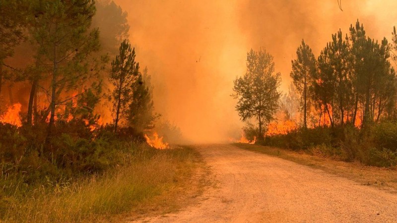 Пожари заради жегите в Европа - над 280 души загинаха