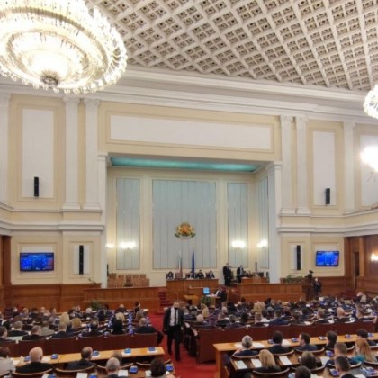 Депутатски език: От овца и гъска до мухльо, тъпак и говедо