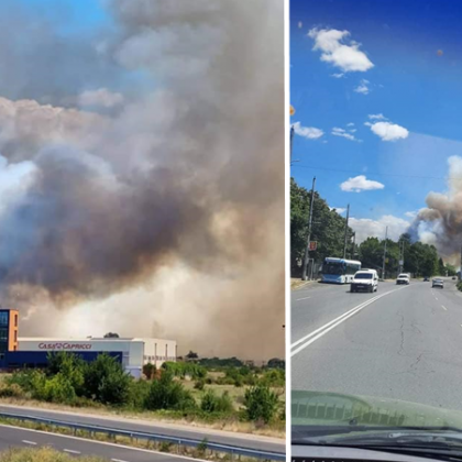 Голям пожар е пламнал в гориста местност в Казанлък научи