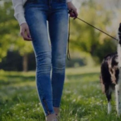 Жена загуби своя домашен любимец в Пловдив Тя сподели че кучето