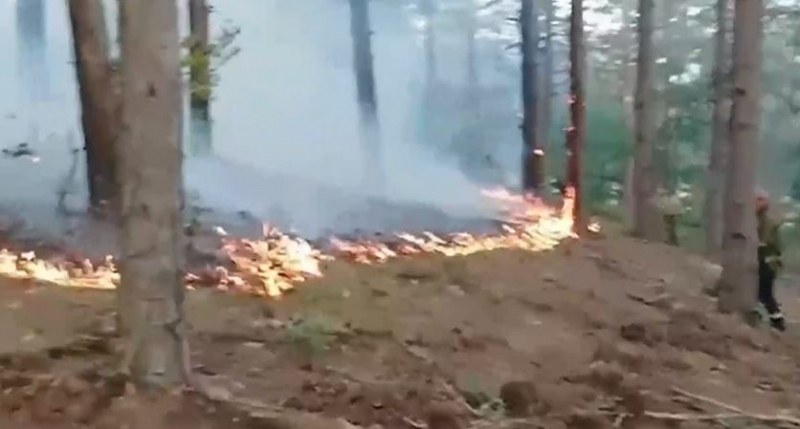 Пожар пламна в гора край кюстендилското село Ветрен. Огънят е