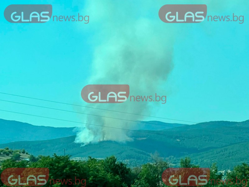 Гори борова гора край Пазарджик - голям пожар се разраства СНИМКИ