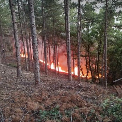Рано тази сутрин действията по гасенето на пожара край Пазарджик