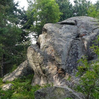 Природата в района между Кръстова гора и Караджов камък е
