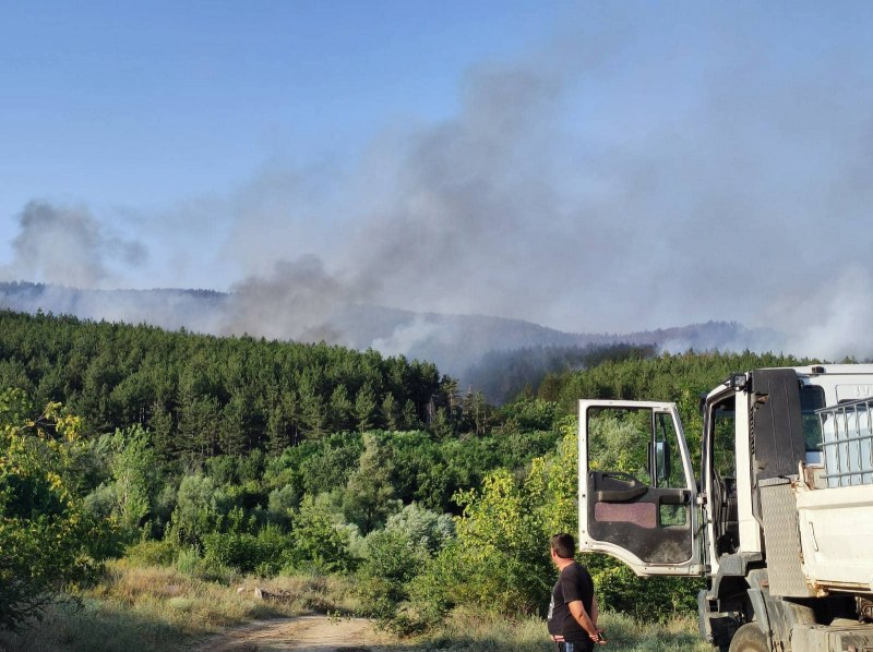Пожарът край Пазарджишко вече е овладян