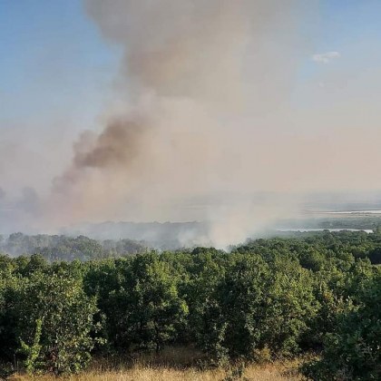 Нов голям пожар в Пловдивско Огънят избухна край Калояново и