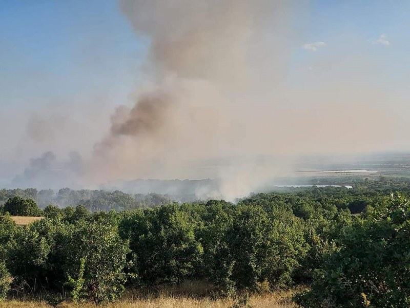 Овладян е пожарът край Калояново