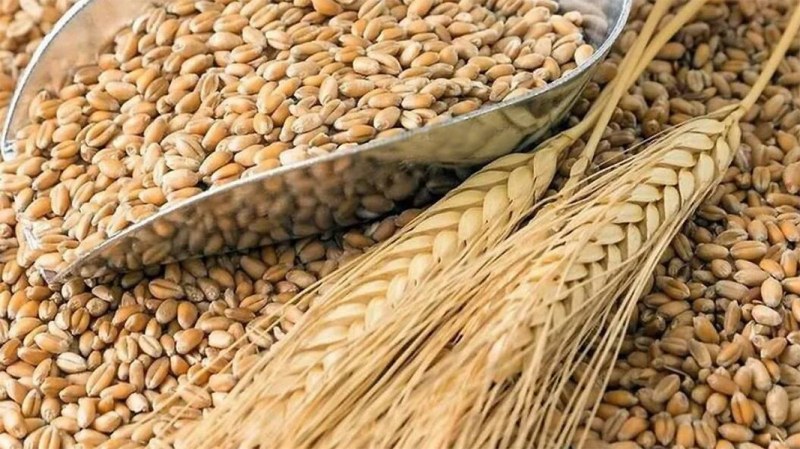 Украйна се готви за възобновяване доставките на зърно