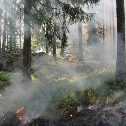 Пожарът в бургаското село Изворище е овладян Няколко локални огнища