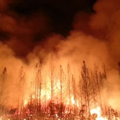 Над 2528 хектара гъста горска растителност е изгоряла до момента