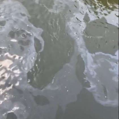 Странни петна във водата притесниха столичани СНИМКИ