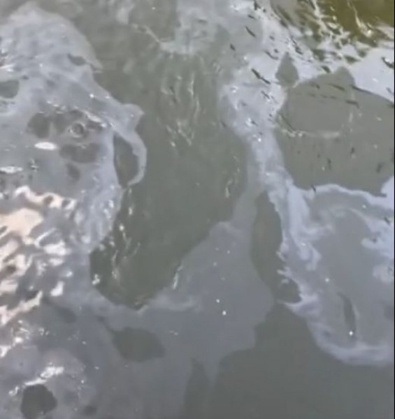 Странни петна във водата притесниха столичани СНИМКИ