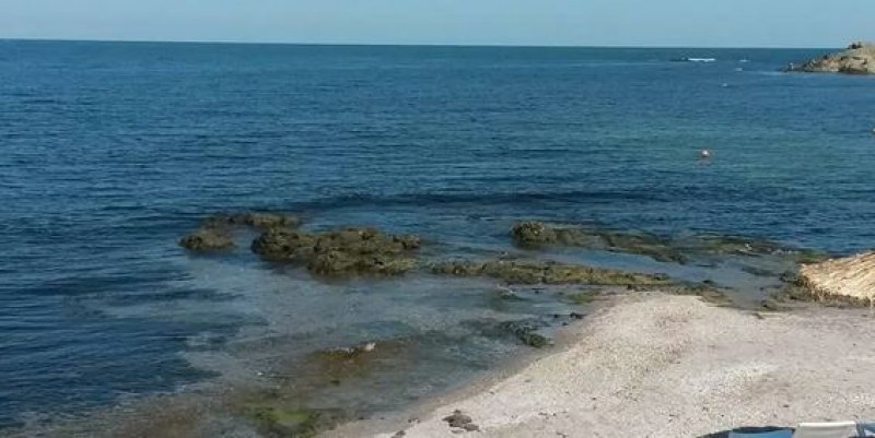 Военен боеприпас изплува в района на мидения плаж край Арапя.