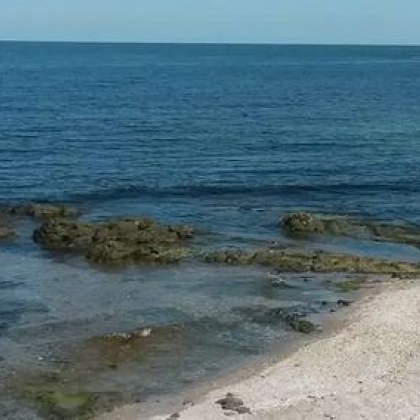 Военен боеприпас изплува в района на мидения плаж край Арапя