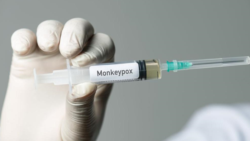 Втори смъртен случай от маймунска треска в Испания