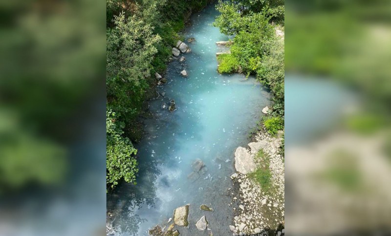 Река, вливаща се в Марица, е токсична. Рибата измря СНИМКИ