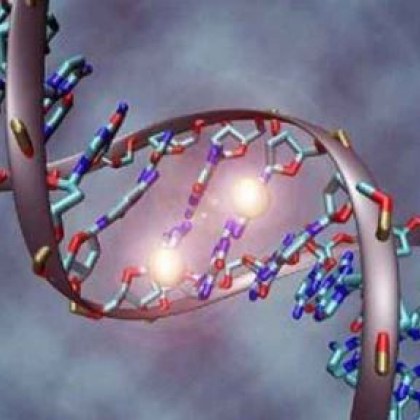Германски учени откриха ген който намалява с 35 процента риска