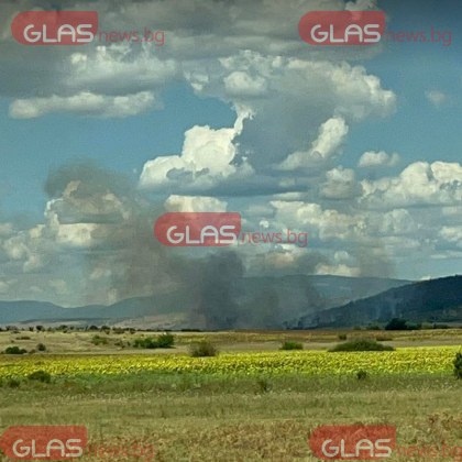 Пожар пламна край Сливен Гори ниска растителност и дървета в района