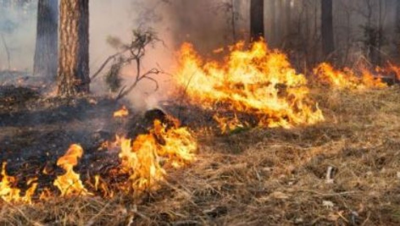 Пожар е бушувал в хисарско село, къщите на хората били застрашени от огъня