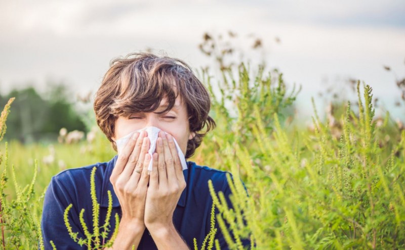 Какво да очакват алергичните към полен през следващата седмица?