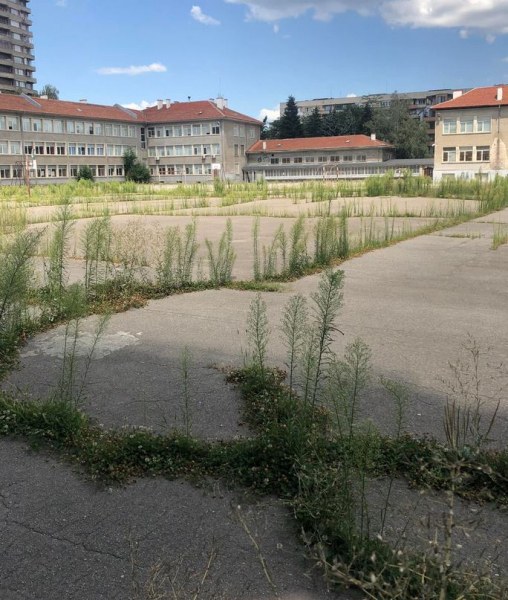 Високи треви, които се прорязали бетона на училищен двор и