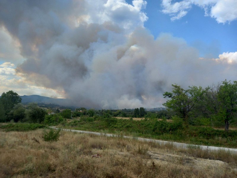Голям пожар гори в Пазарджишко. Сигнал е подаден около 10:30