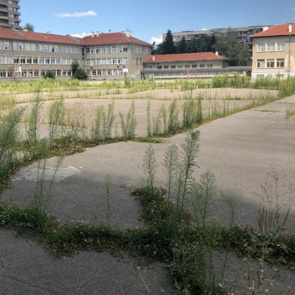 Високи треви които се прорязали бетона на училищен двор и