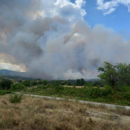 Голям пожар гори в Пазарджишко Сигнал е подаден около 10 30