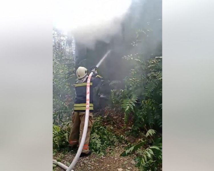 Огнеборци гасиха два пожара в Пловдив ВИДЕО