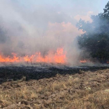 Битката на огнеборците с пламъците в Панагюрско продължава втори ден