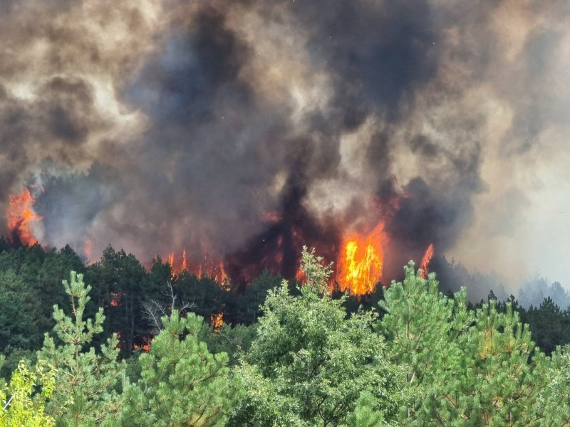 Пожарът в землищата на селата Левски и Елшица в Пазарджишка