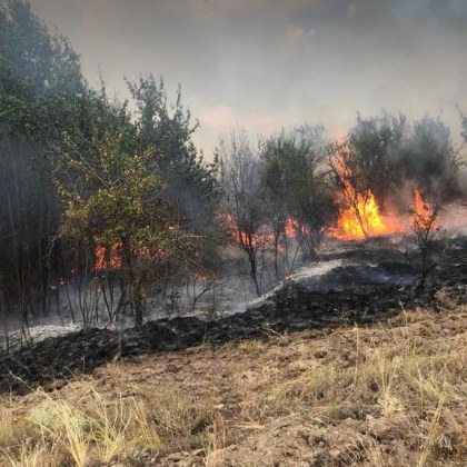 Пожарът който гори в землището на селата Левски и Елшица