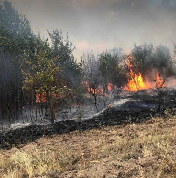 Пожарът, който гори в землището на селата Левски и Елшица