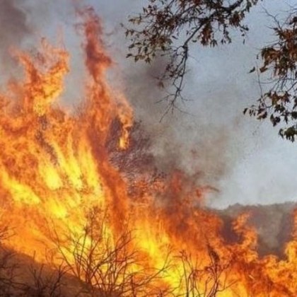 Заради пожара на територията на село Полски градец община Раднево