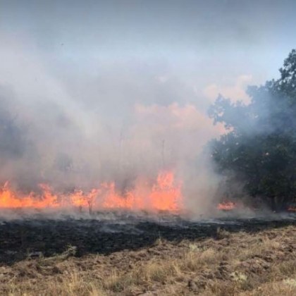 Голям пожар бушува в Сакар планина между трите села Полски