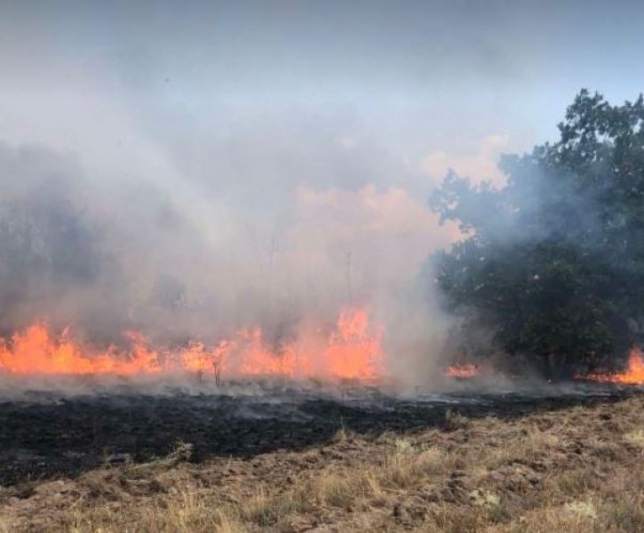Огромен пожар гори в Сакар планина