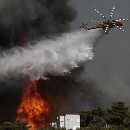 Трети ден продължава да гори мащабният горски пожар на остров