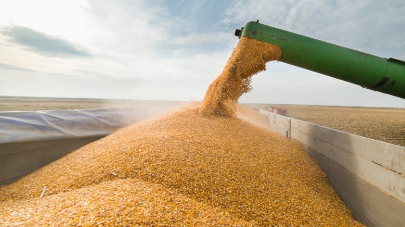 Заради украинското жито, никой не купува нашето