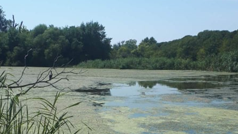Престъпление срещу природата: Река Ахелой се превърна в блато ВИДЕО