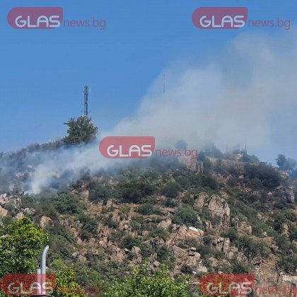Голям пожар е пламнал на Младежкия хълм в Пловдив Гори