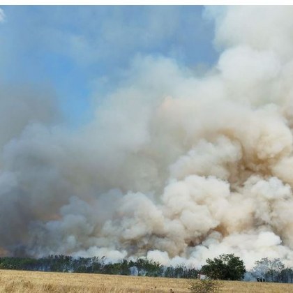 Пожарът край Казанлък избухнал на територията на военния полигон Тюлбето